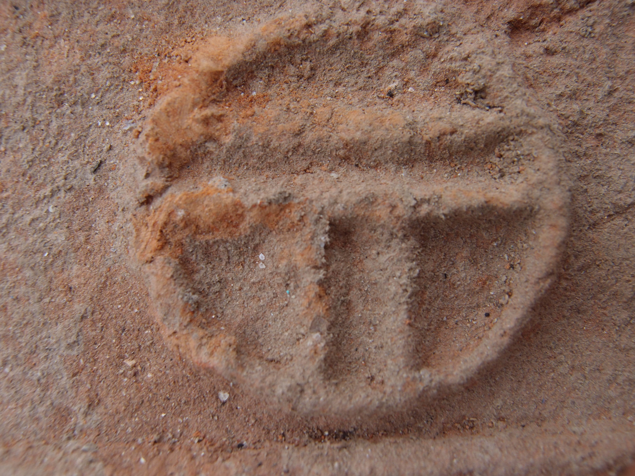 2018-01-16 12 Uhr - Im Shivapuri Nagarjun National Park (Nagi Gumba) (Foto) 